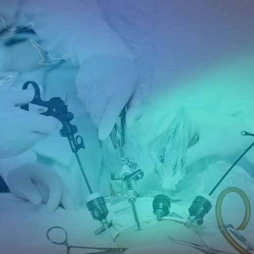 klinist- açık karın (open abdomen) yönetimi klinist- açık karın (open abdomen) yönetimi
