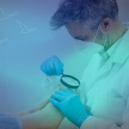 klinist- pilonidal sinus (kıl dönmesi)