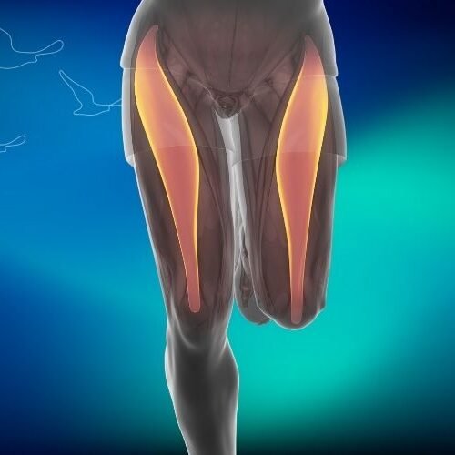 klinist- rektus diyastazı ve fıtıklar