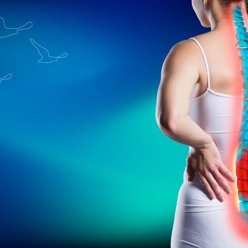 klinist- robotik fıtık onarımı klinist- robotik fıtık onarımı