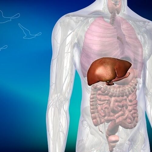 klinist- safra kesesi ameliyatı