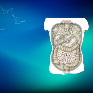 Psödomiksoma Peritonei