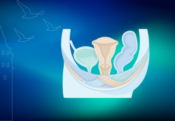 pelvik taban cerrahisi klinist pelvik taban cerrahisi klinist
